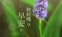 早晨正能量激励人的好句子