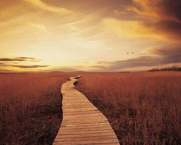 保定市的宗旨是培养美德