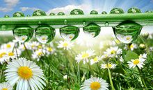 暴雨天气问候短信