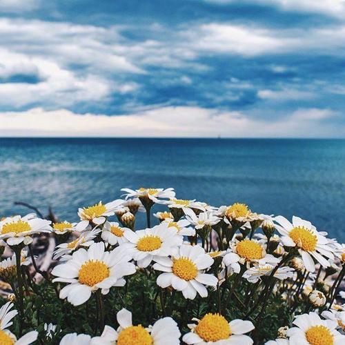 并且看到他对我微笑