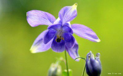 两边放着两把旧的藤椅