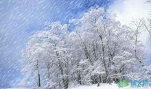 描写雪景的句子49条