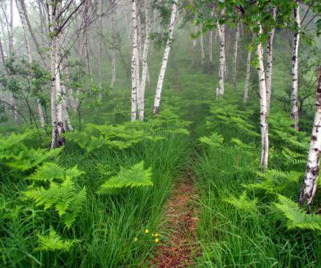 湛蓝的蓝天上点缀着无数小星星