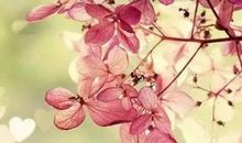 每日祝福语早安