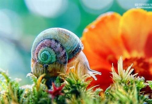 描述表演句子  1