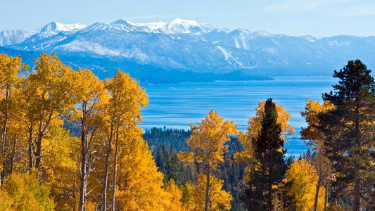 将未完成的月亮升上天空