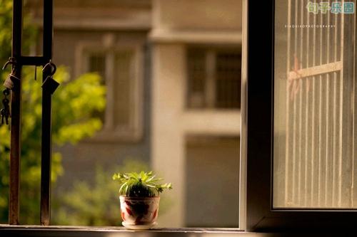 您必须节省能量