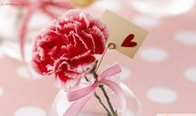 母亲节婆婆短信大全