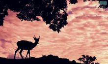 感悟人生的12句话