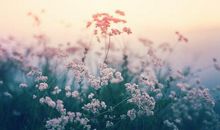 生活中逗女生开心的句子