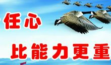 关于保险的霸气口号大全