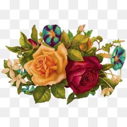 请欣赏由编辑编辑的关于美丽的蓝天和白云的幸福句子