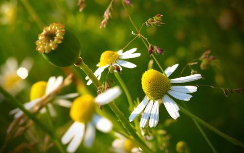 编辑编了一些漂亮的句子
