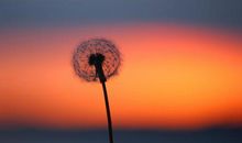 表达开心自己开心的句子