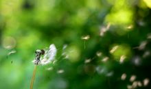 亲情渐渐疏远的句子