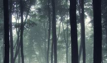 2020人生深奥哲理感悟句子