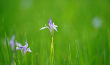 写亲情陪伴的句子唯美句子