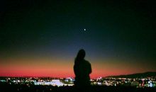 对夫妻感情失望的句子