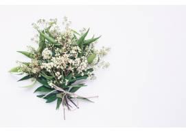 编辑编辑了一些关于与女友幸福的句子