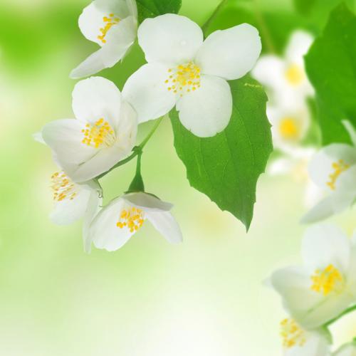 让我们看一下小编编写的有关人类情感的句子