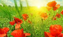 中年人生感悟的句子