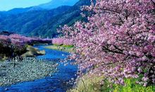 有关天气好开心的句子