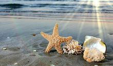 经典有哲理的人生感悟句子