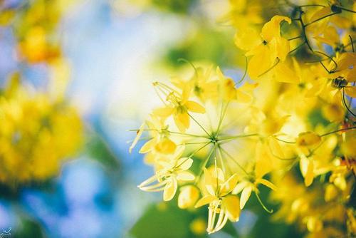 我希望每个人都喜欢