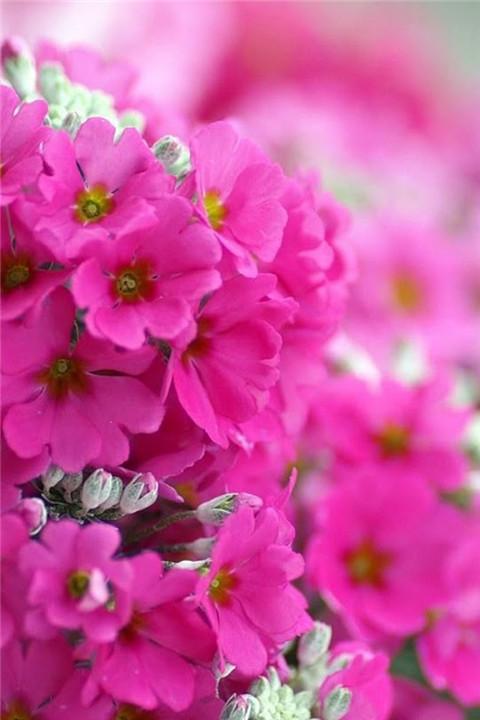 并选择了要发送给Moments的句子