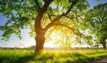 早上让朋友开心的句子