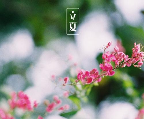 编辑整理了一些有关早上发送给Moments的快乐句子