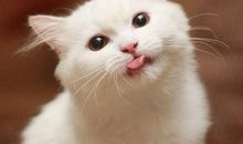 气死朋友开心的句子