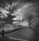 朋友一直是我们每个人中最受信任的