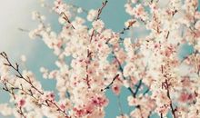 让人比较开心的句子