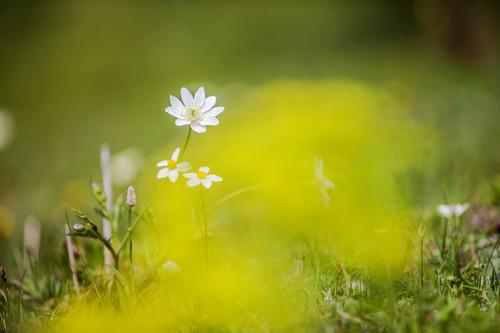 看看小编组织的隐喻