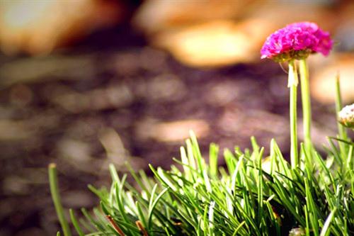 奉献自己的爱应该成为一种时尚和自觉的行为