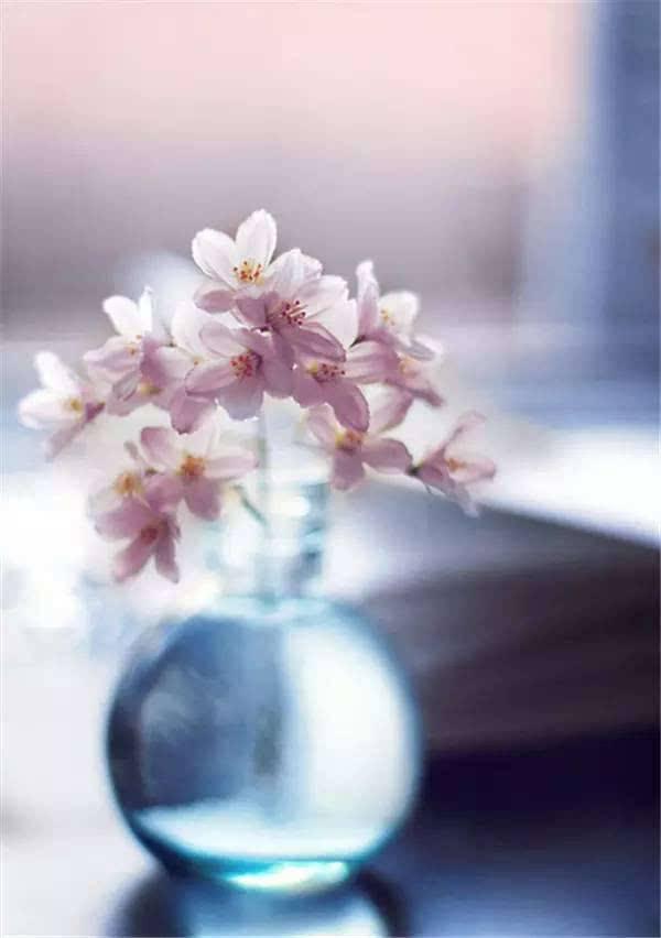 编辑编了一些表达幸福的句子