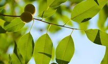 开心赚钱的句子