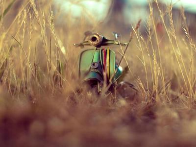 在文章末尾可以使用哪些甜美的句子