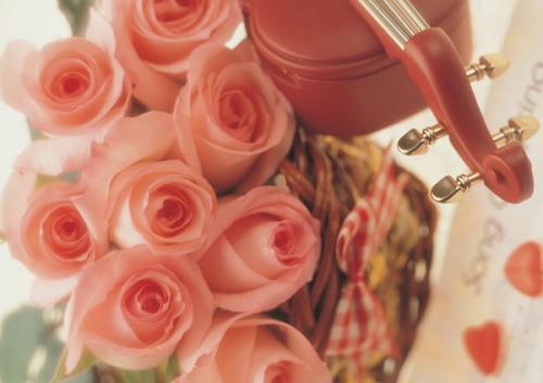 祝：情人节快乐