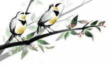 与鸟有关的诗词名句