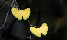 关于人生感悟的15个句子