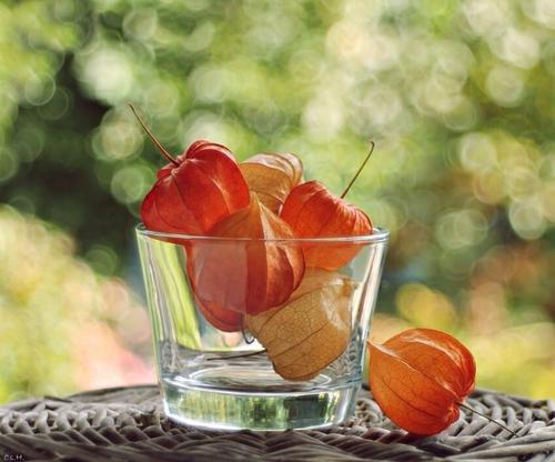 请欣赏小编撰写的有关使您周围的朋友开心的句子