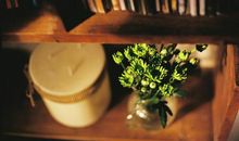 说明一天开心的句子