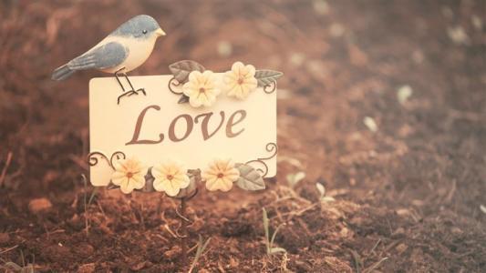 请享受编辑编辑的关于快乐日子的句子