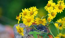 疫情解封发朋友圈说说 疫情解封后心情说说