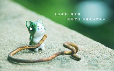 我将杀死我之上的所有事物