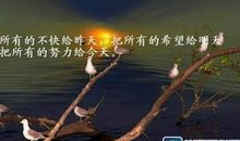 传递正能量的句子