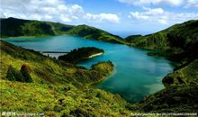 友情很深的句子