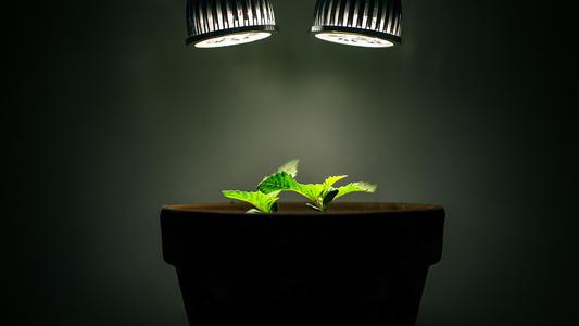 请享受一些编辑整理的有关为家庭目的描写金钱的句子